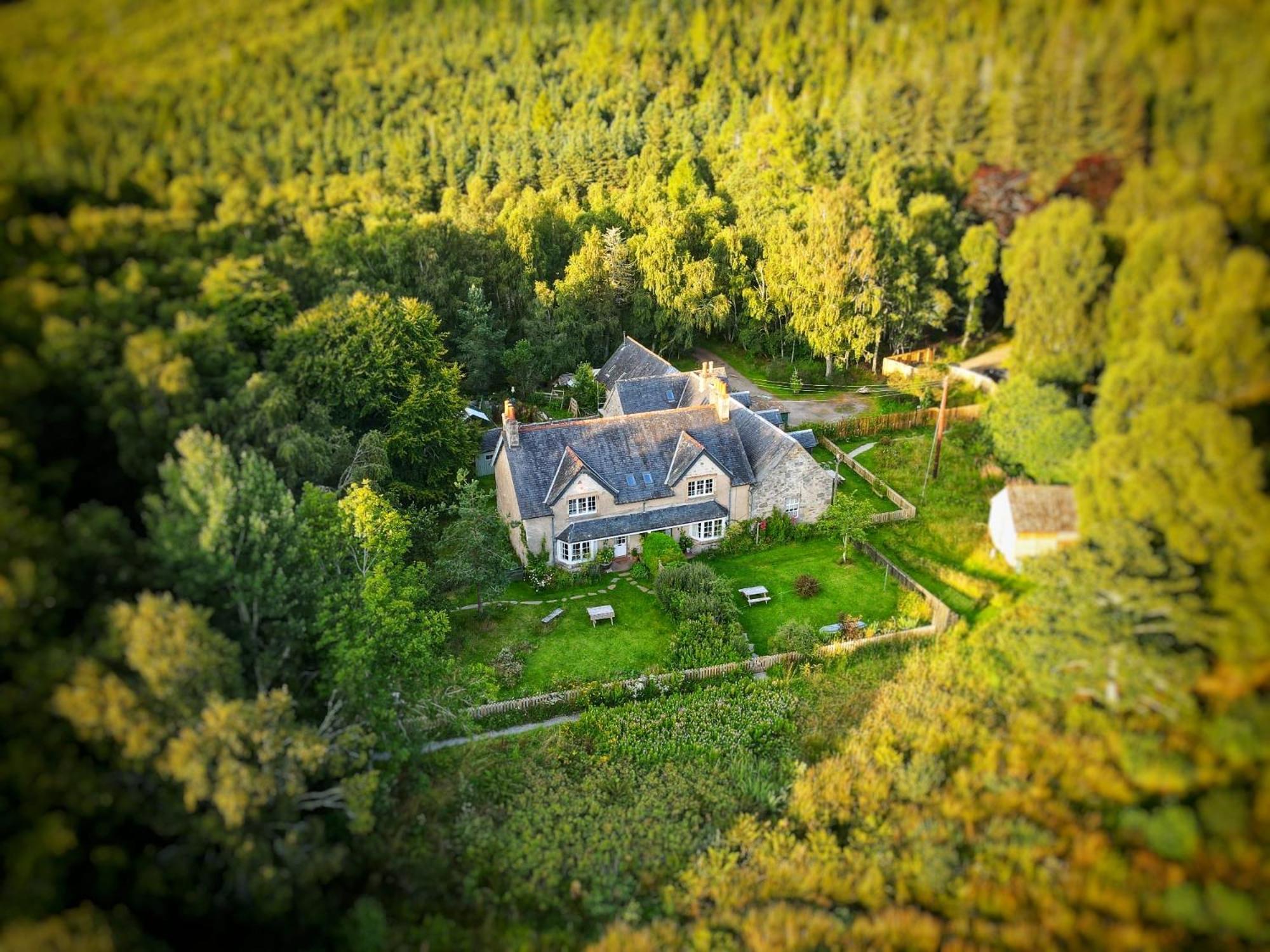 Thistle Cottage, Crannachcottages Garve Extérieur photo